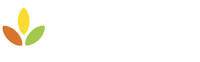 Pistorio Foundation – Donations